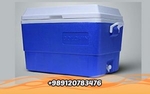 Plastic ice box